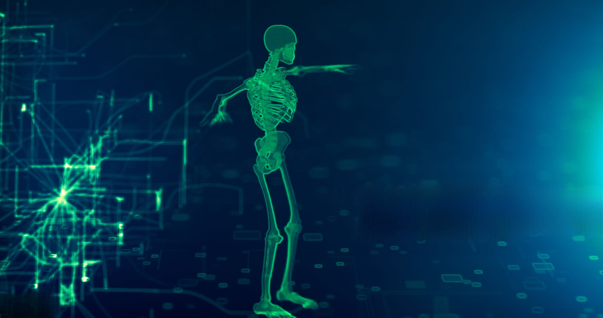 Skeletal Annotation